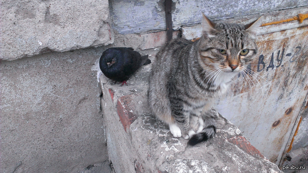 �������