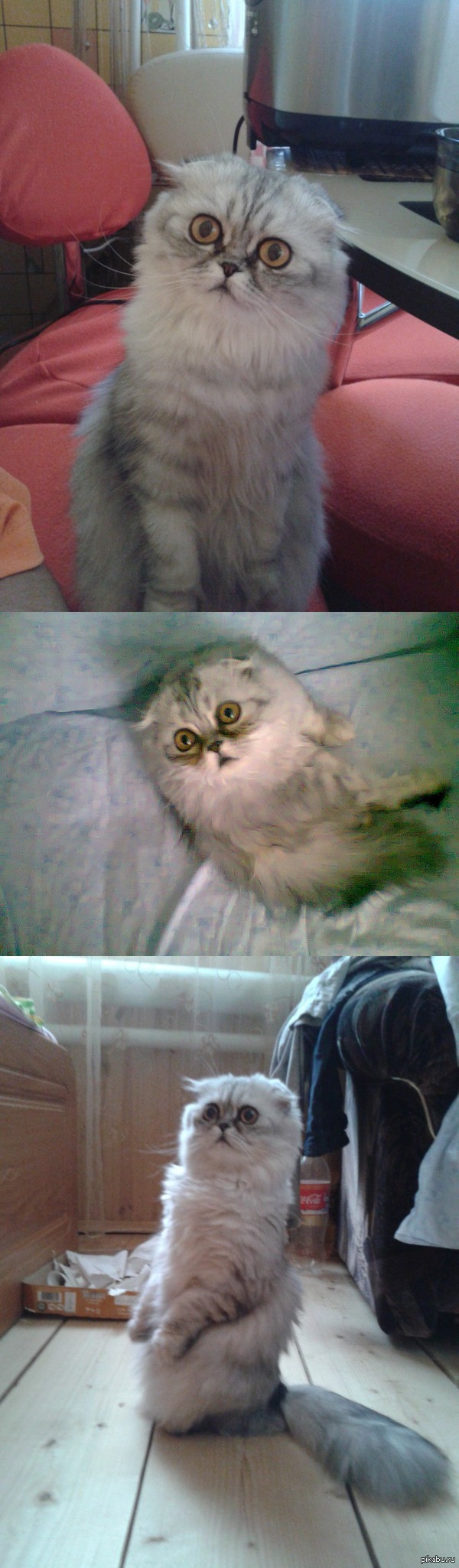 ���, ������� ����� ��������� ������ � ���� �����.