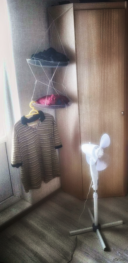   ,      .            ^_^    -    50 . ( 2.5    )
