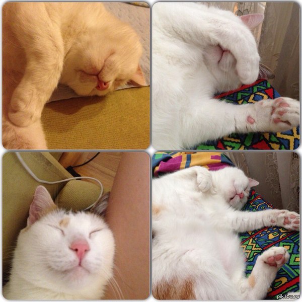 ���� ���� ������ ������� :3