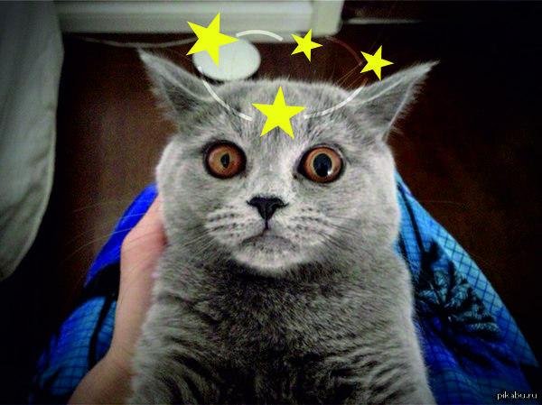 ������ ���� � � ������ ������ ���))