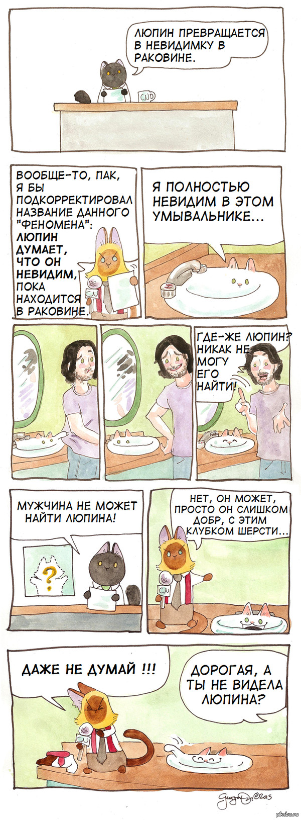 http://cs5.pikabu.ru/post_img/2015/07/14/7/1436870424_545824734.jpg
