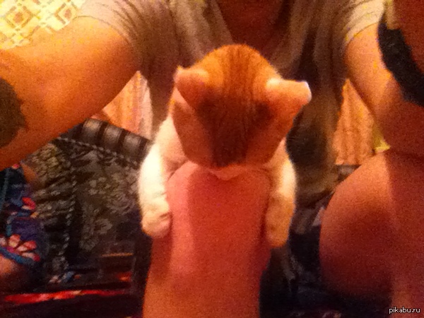     , iphine 4 )