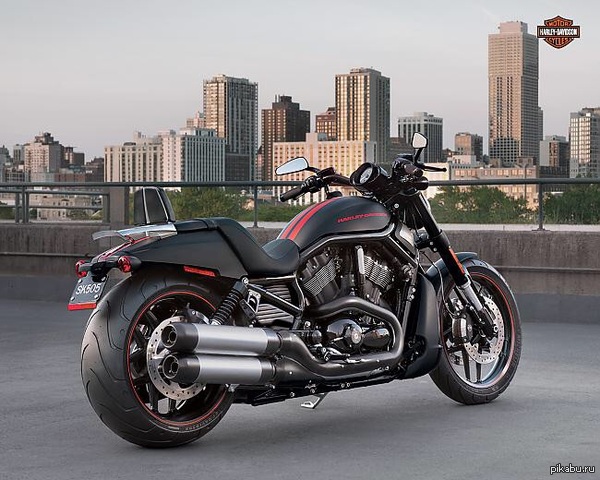 Образ жизни