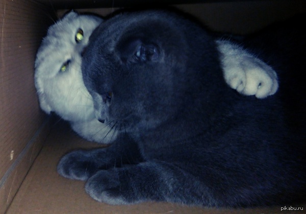          ,   -   , ,  :]  (  w6610)