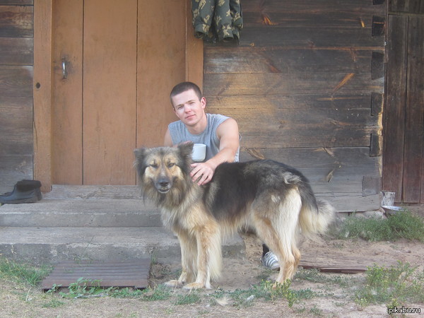 �������� ������ �� �������