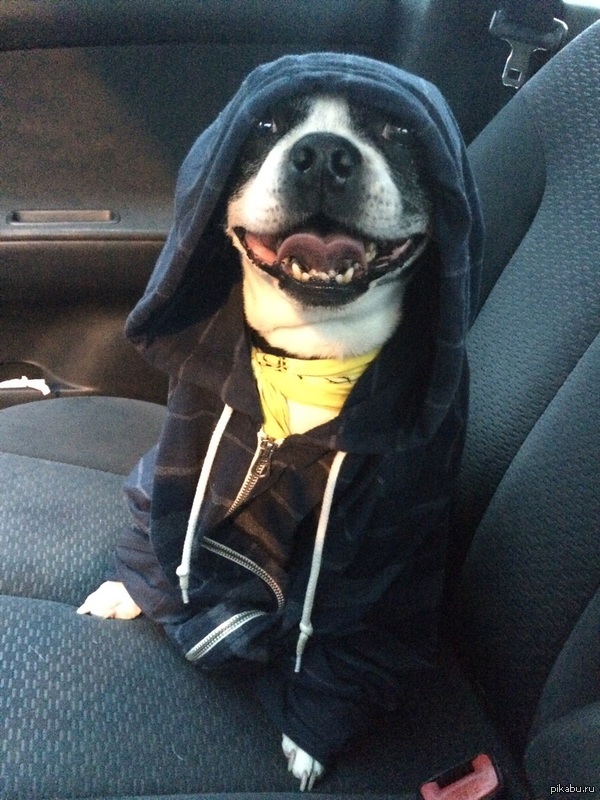 "�� ����� ��� ������� ������ � � �� ����� ����� �� �����,�������� ���������������"