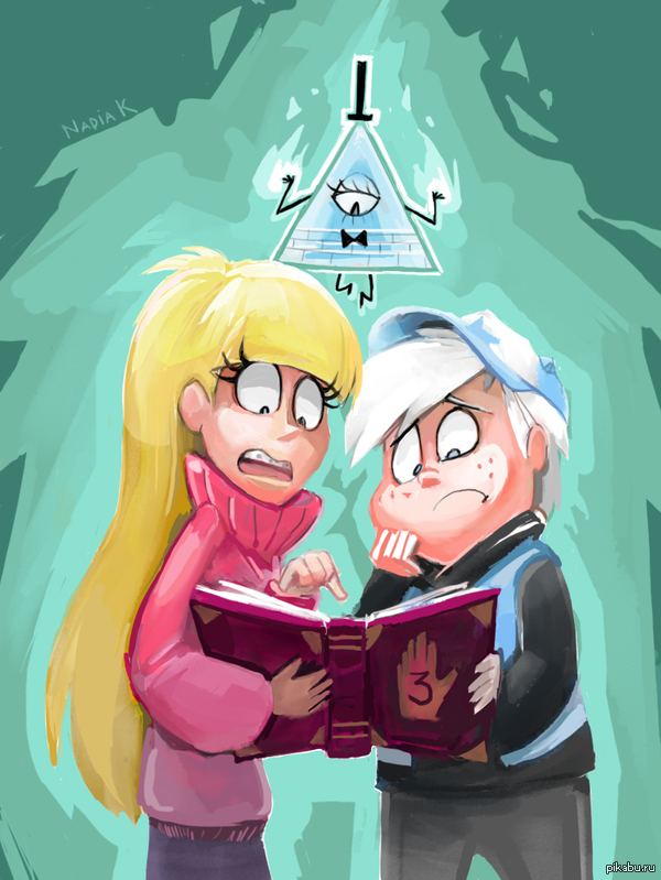 Reverse Falls 