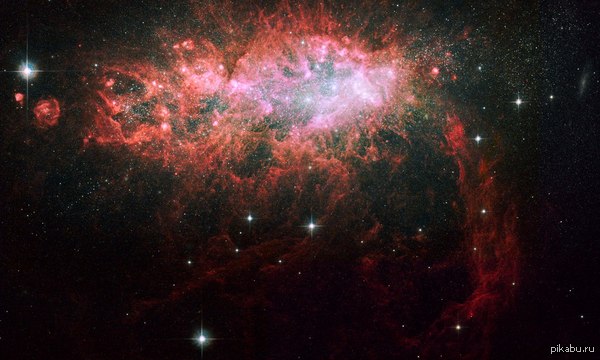   NGC 1569 