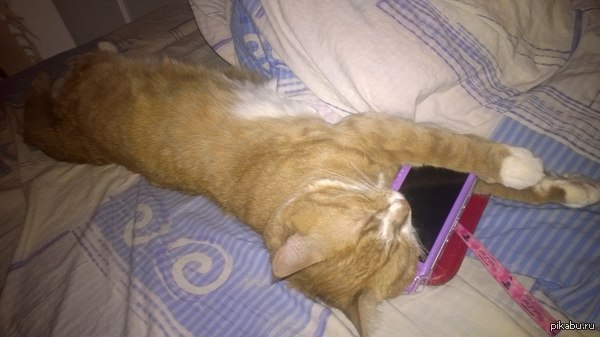 Игрокот без забот.