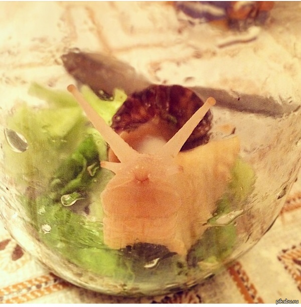 ��� ��� �������� ������, � �� �� ������ �� ������