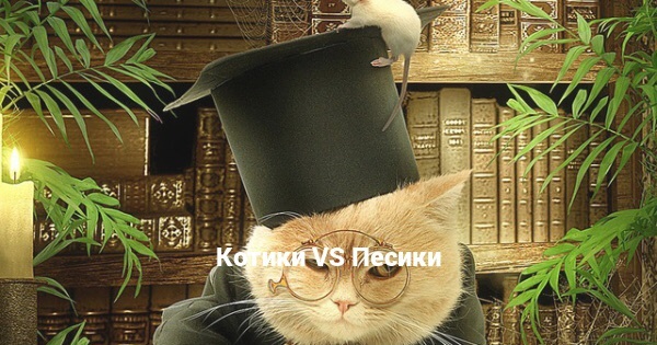 Котики VS Песики | Пикабу