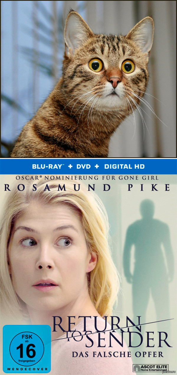 Совпадение? Не думаю