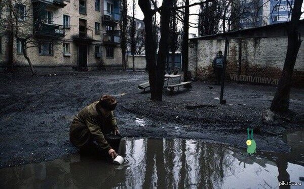 Планктон в России | Пикабу