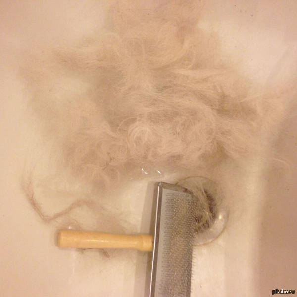 �������� ������.