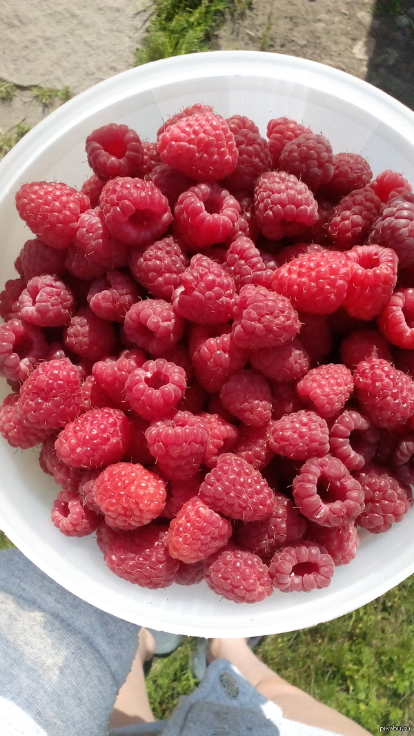 Всем летнего настроения | Пикабу