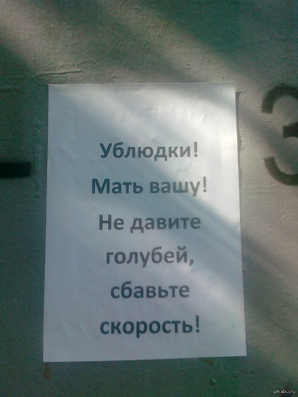 ����� ���� ����� ����� �������