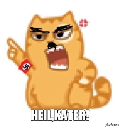 HEIL KATER! - NSFW, My, Adolf Gitler, cat, Swastika