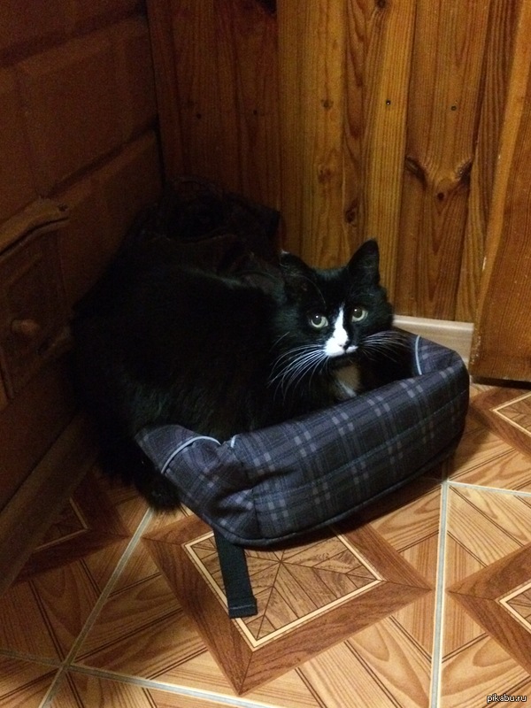 �������� �����