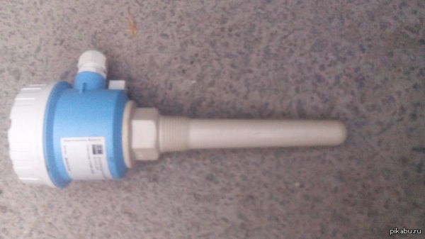 ���� ������,������