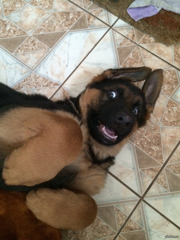 ��� �����:)