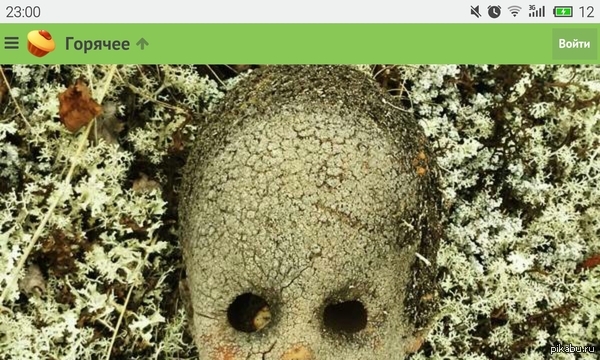 ����� �������� �������, ����������..