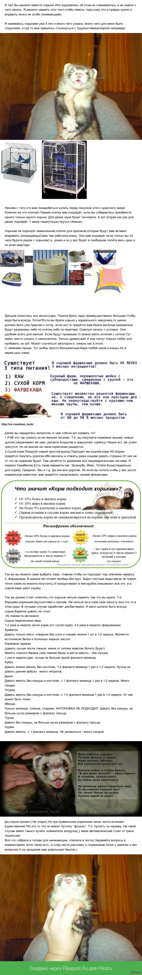 ������ ����!) ��� ���������� � ��������)