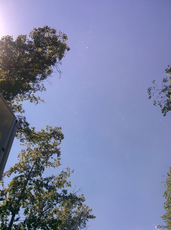 Когда выдалась хорошая погодка