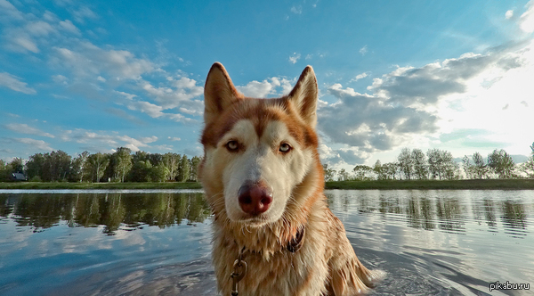    -   + Sony HDR AS100V + Lightroom.    .