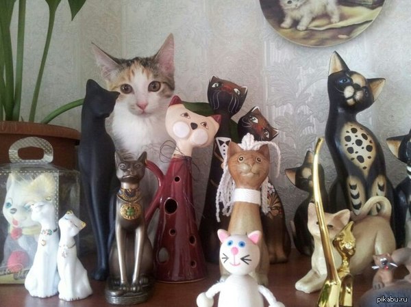 Главное - слиться с местностью.