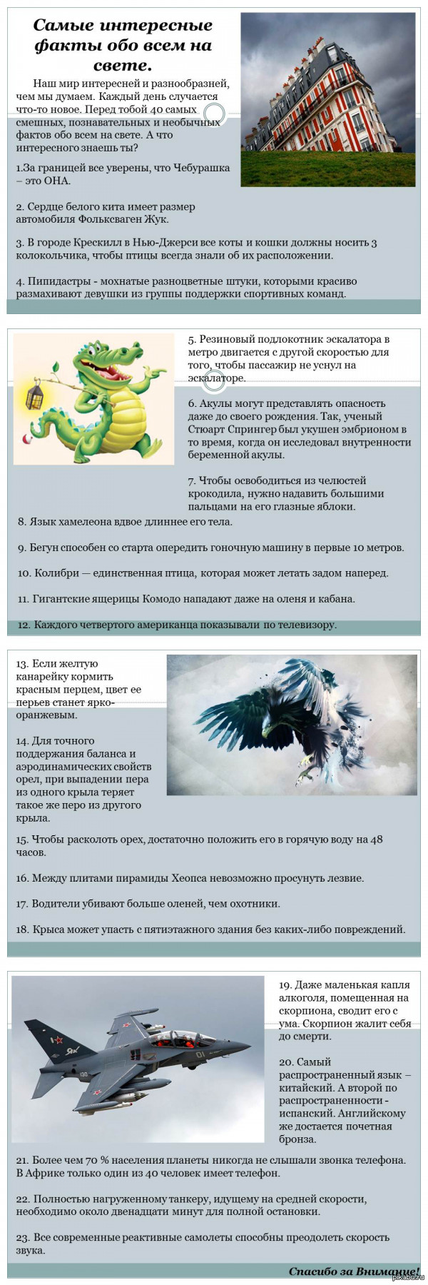 Самые интересные факты обо всем на свете.