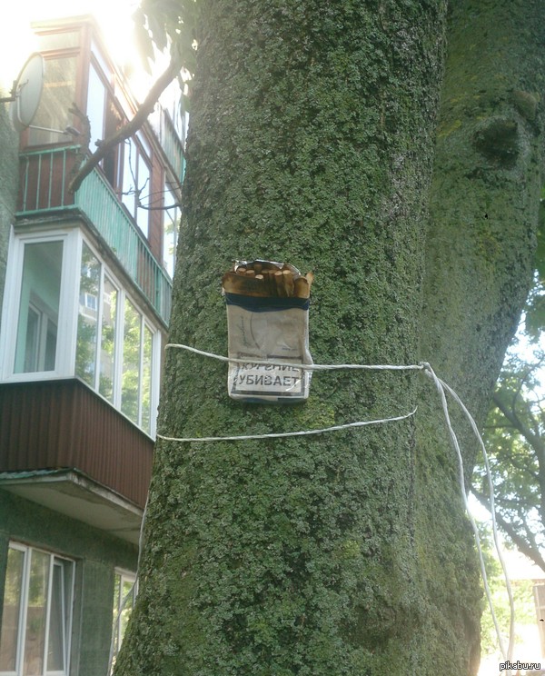 ���-�� �������� �������� �������� ��� ����������