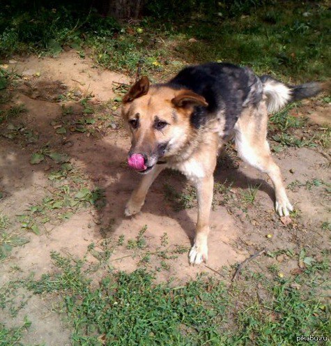 ��� � �������, ����� ���� ���������� �������������