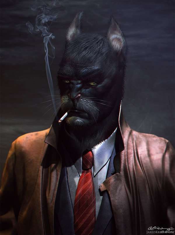 Blacksad : Jared Krichevsky