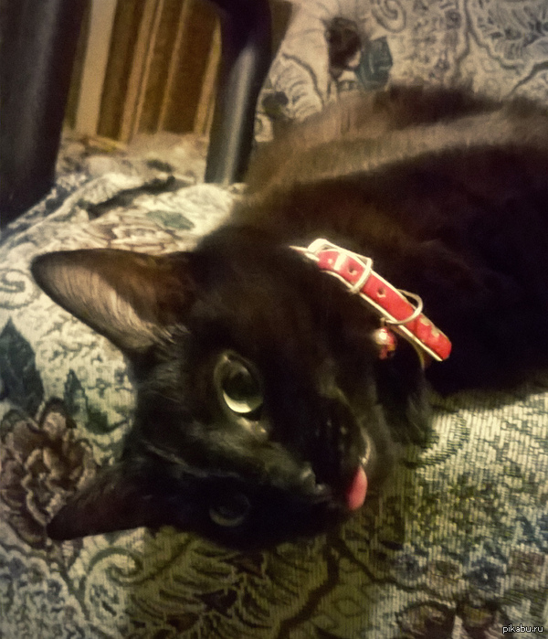 ��������� �����, � ���...