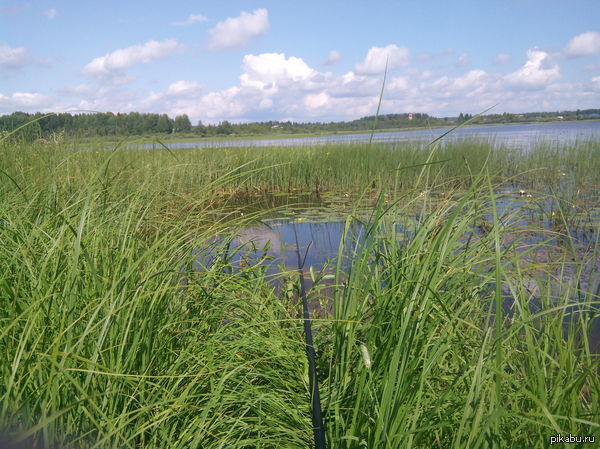 �������