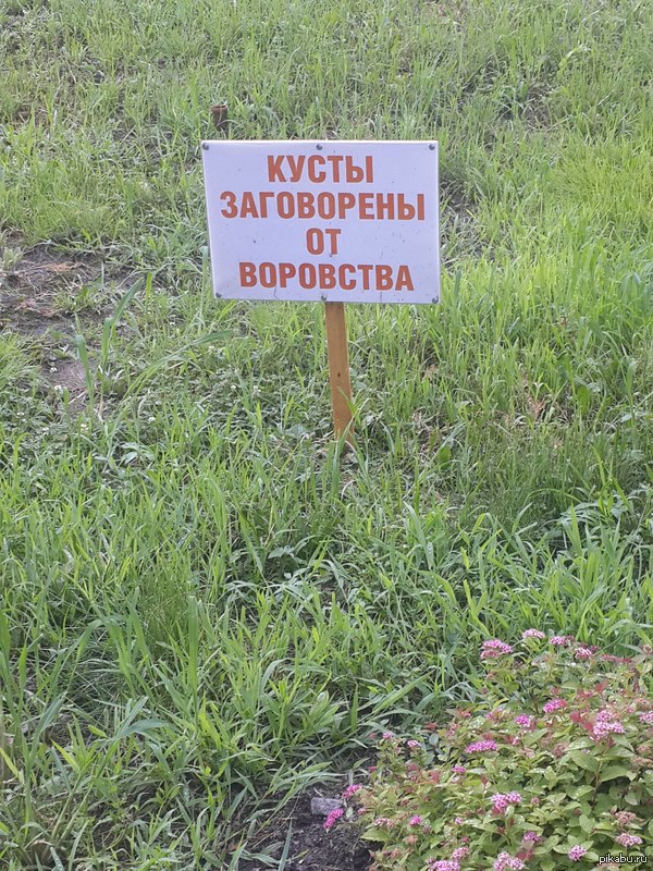 Хабаровск | Пикабу