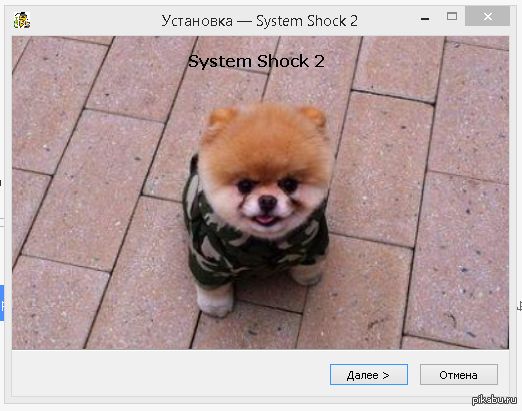     System Shock ,    