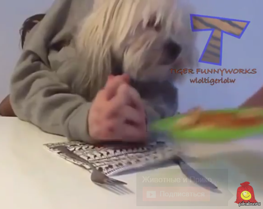  .     .