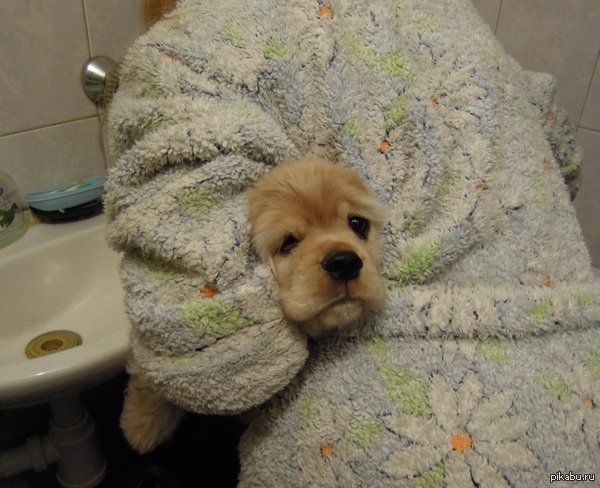 Баня русская всегда славилась на флоте