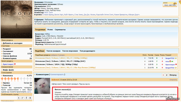 Самое удачное описание фильма