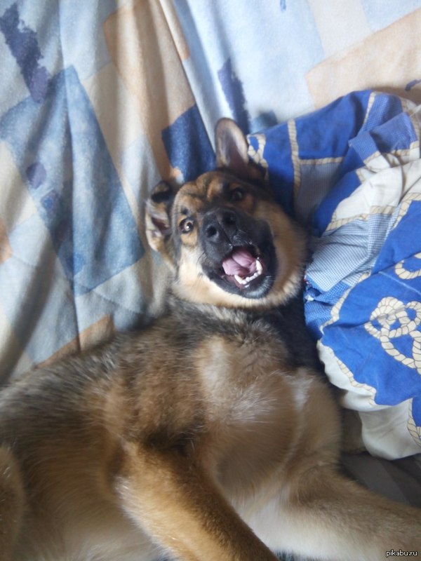  ,         