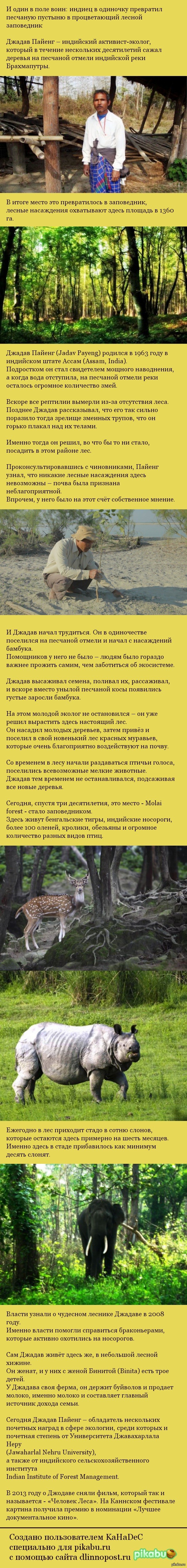 Джадав Пайенг - человек, вырастивший лес - Джадав Пайен, Лес, Экология, Индия, Длиннопост