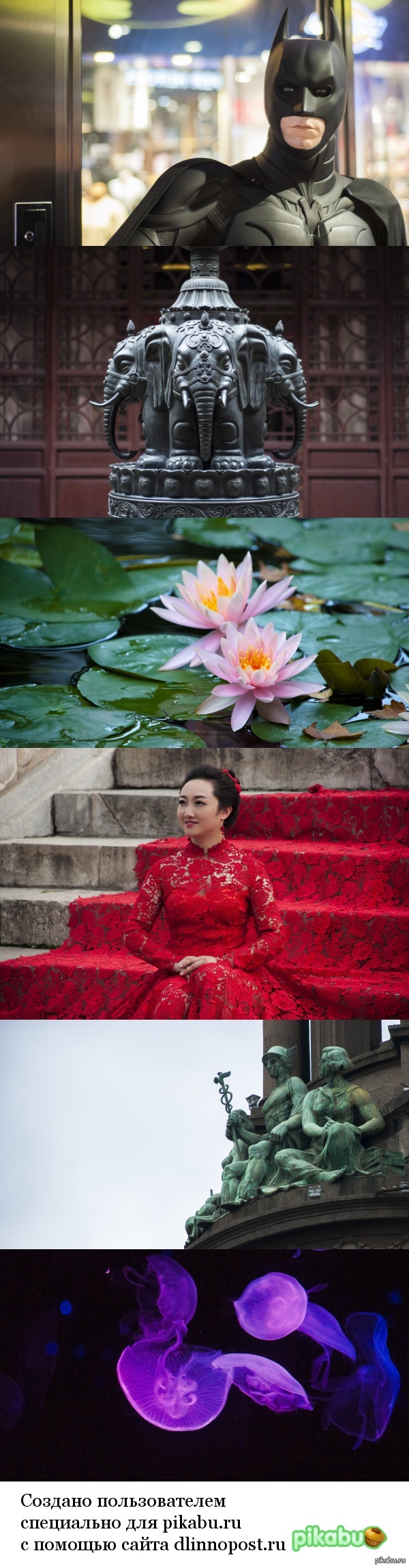 �� ����� ������� ������