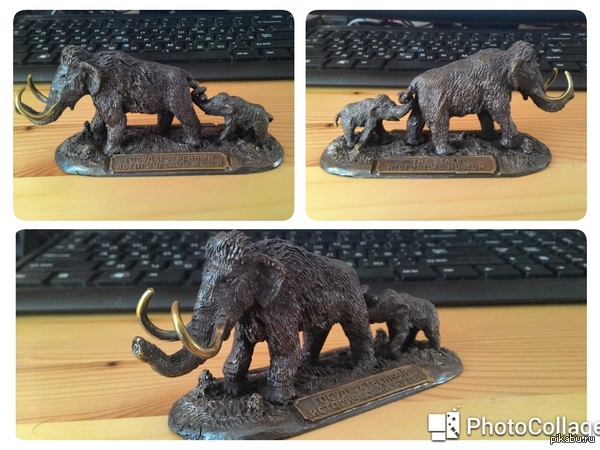 ������ � ����������.