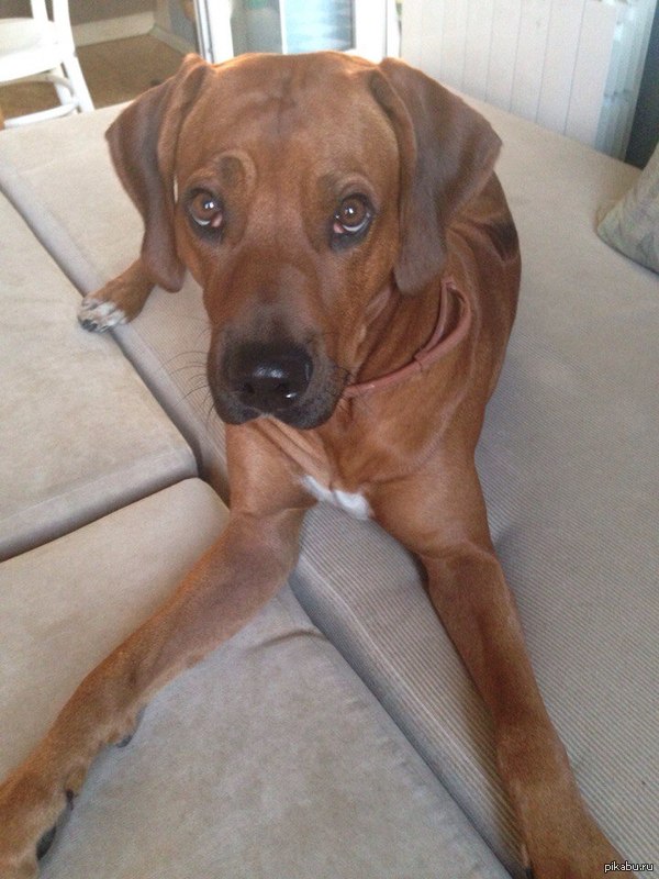 ����� �������, ��� ����� ���� ���� ����� ���