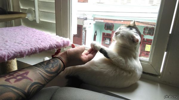 Создание человека.