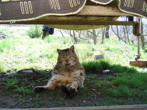 �������� ���������� ��� �����