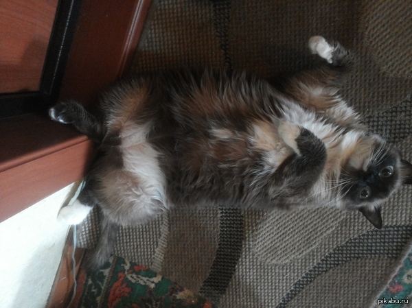 ����� �����, � ���� ��� ����)