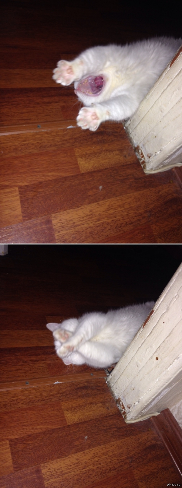 Прикрывай рот, когда зеваешь